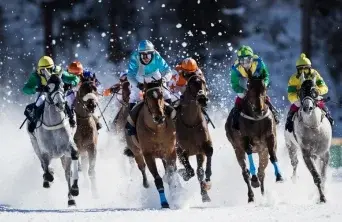 White Turf International Horse Race